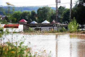 inundatii-FotoPress24  (38)