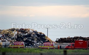incendiu Drumul 23 în spatele Arpechim-FotoPress24 (15)