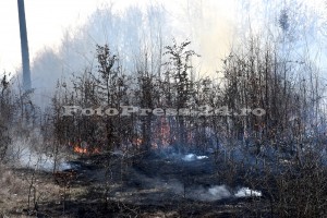 foto-Mihai Neacsu incendiu-vegetatie-padurea-trivale-fotopress-24ro-7