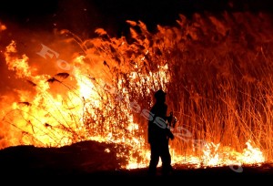 incendiu stuf tudor v-fotopress-24ro (15)