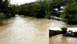 cod portocaliu si galben arges-fotopress-34ro