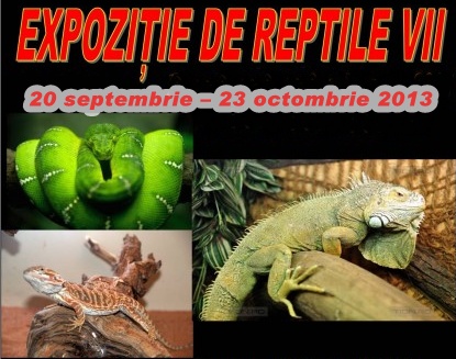 reptile expo