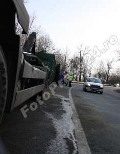 transportor-rasturnat-cerbu albota-foto Mihai Neacsu (2)