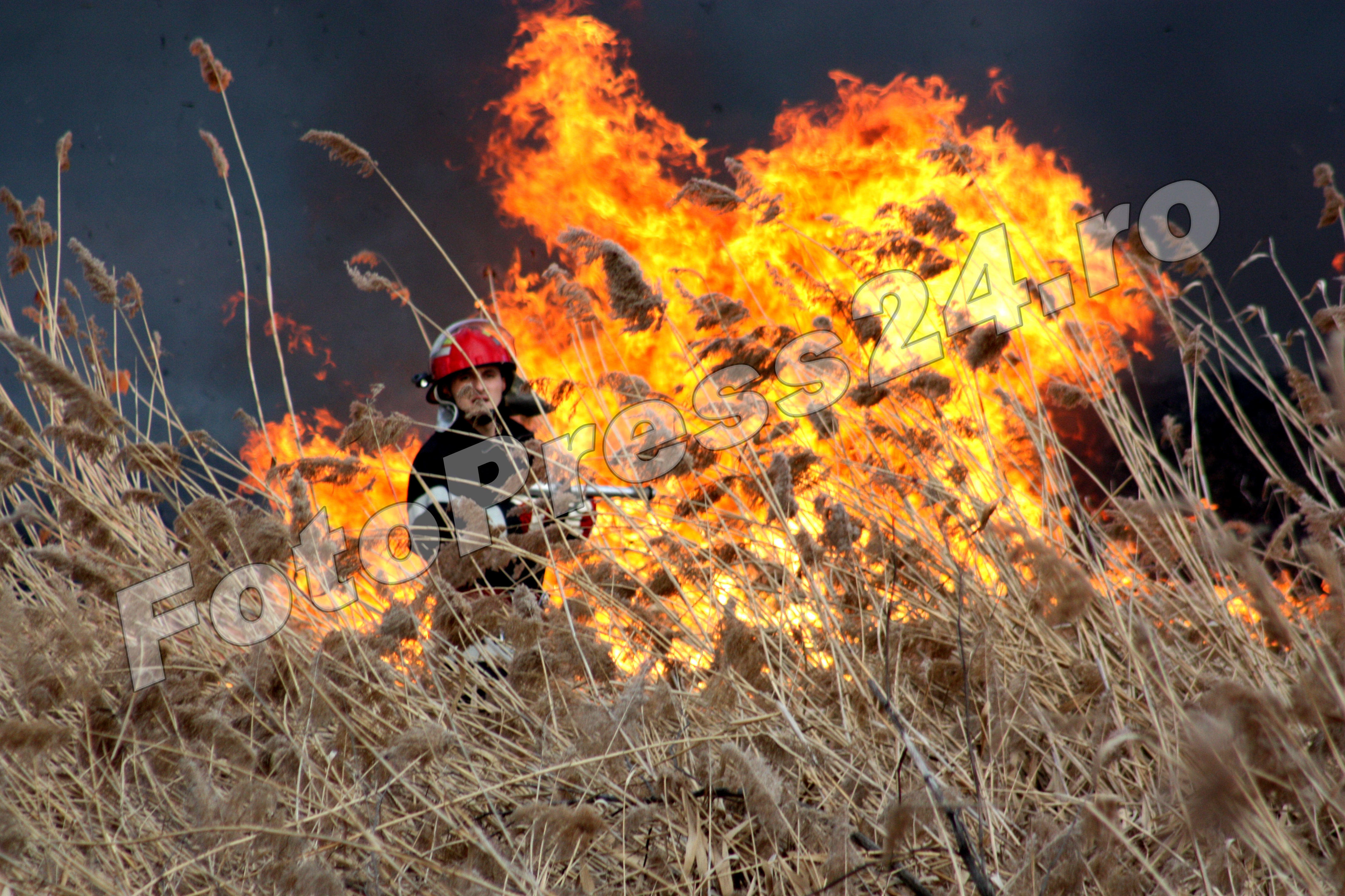 incendiu  stuf Pitesti-foto-Mihai  Neacsu (1)