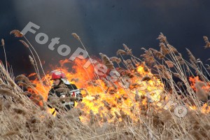 incendiu  stuf Pitesti-foto-Mihai  Neacsu (2)
