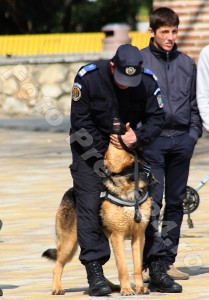 ziua_jandarmeriei-foto'mihai_neacsu-fotopress24 (3)