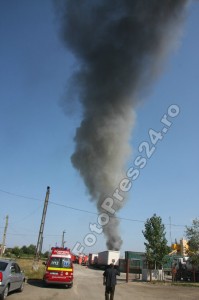 incendiu Bascov-foto-Mihai Neacsu (1)