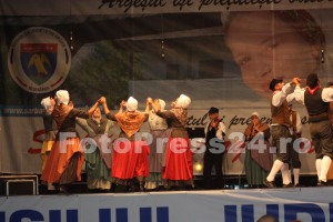 finalul_festivalului-international-de-folclor-fotopress24.ro  (59)