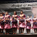 piata-milea-festivalul-international-de-folclor-carpati (19)