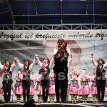 piata-milea-festivalul-international-de-folclor-carpati (26)