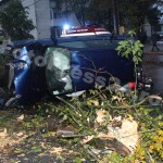 accident 2 victime Teilor-FotoPress24.ro-Mihai Neacsu (12)