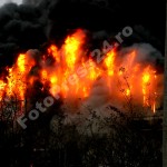 incendiu Agrolact-foto-Mihai Neacsu (24)