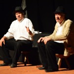 teatru -Mioveni-FotoPress24 (3)