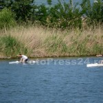 cupa_municipiului-kaiac_canoe-fotopress24 (4)
