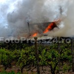 incendiu Costesti-fotopress24.ro-Mihai Neacsu (11)
