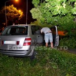 Fiat  intrat in copac-fotopress24 (15)