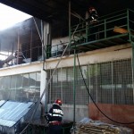 incendiu_Gavana-fabrica_mobila-fotopress24.ro-Mihai Neacsu (3)