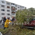 copac cazut peste masini-fotopress24 (2)