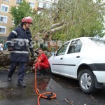 copac cazut peste masini-fotopress24 (29)