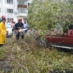 copac cazut peste masini-fotopress24 (3)