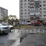copac cazut peste masini-fotopress24 (34)