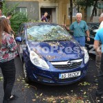 copac cazut peste masini-fotopress24 (6)
