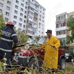 copac cazut peste masini-fotopress24 (9)