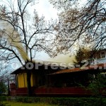 incendiu_nevoiu-fotopress24 (4)