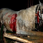 accident carutas stefanesti-fotopress24 (16)