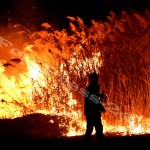incendiu stuf tudor v-fotopress-24ro (15)