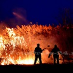 incendiu stuf tudor v-fotopress-24ro (17)