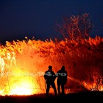 incendiu stuf tudor v-fotopress-24ro (18)