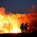 incendiu stuf tudor v-fotopress-24ro (19)