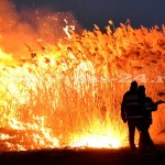 incendiu stuf tudor v-fotopress-24ro (20)