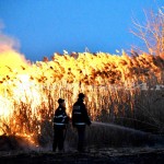 incendiu stuf tudor v-fotopress-24ro (21)