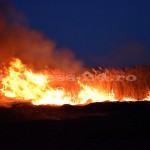 incendiu stuf tudor v-fotopress-24ro (6)