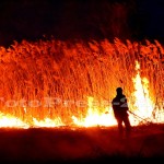 incendiu stuf tudor v-fotopress-24ro (9)
