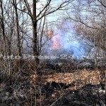 incendiu vegetatie padurea trivale-fotopress-24ro (19)