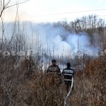 incendiu vegetatie padurea trivale-fotopress-24ro (25)