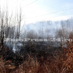 incendiu vegetatie padurea trivale-fotopress-24ro (30)