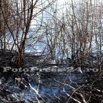 incendiu vegetatie padurea trivale-fotopress-24ro (31)