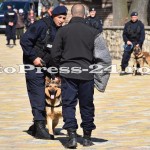 ziua-jandarmeriei-romane-fotopress24 (1)