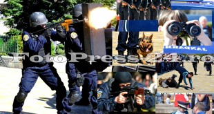 ziua-jandarmeriei-romane-fotopress24 (50)
