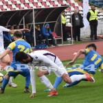 Liga a 2 a FC Arge Piteti Olimpia Satu Mare 2 - 1- fotopress-24 (12)