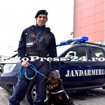 jandarmerie- jupiter city- masini arme - fotopress-24.ro  (14)