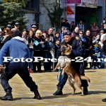 ziua jandarmerie - arges-fotopress24 (23)