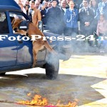 ziua jandarmerie - arges-fotopress24 (26)