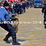 ziua jandarmerie - arges-fotopress24 (28)