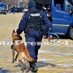 ziua jandarmerie - arges-fotopress24 (31)