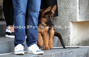 isu 13 septembrie (12)